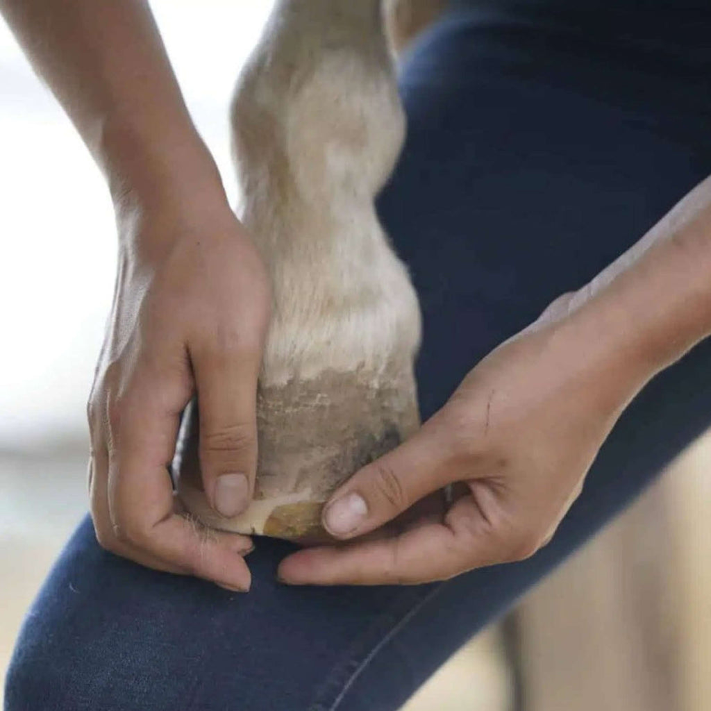 Unique-horn Hoof Repair Wax
