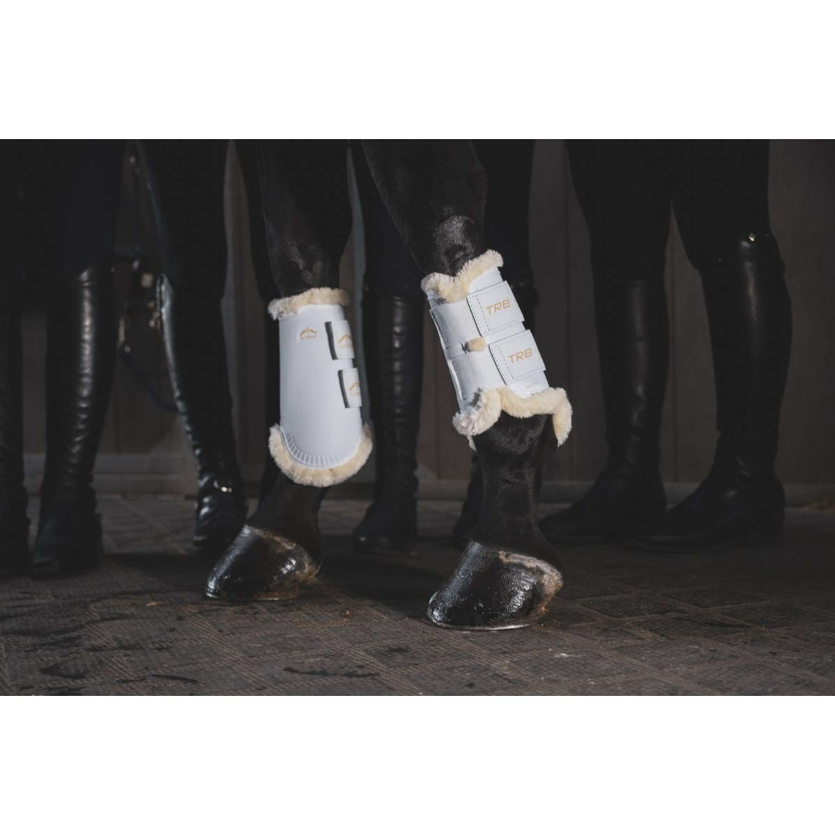 Veredus Beenbeschermers TRB Save the Sheep Rear Wit