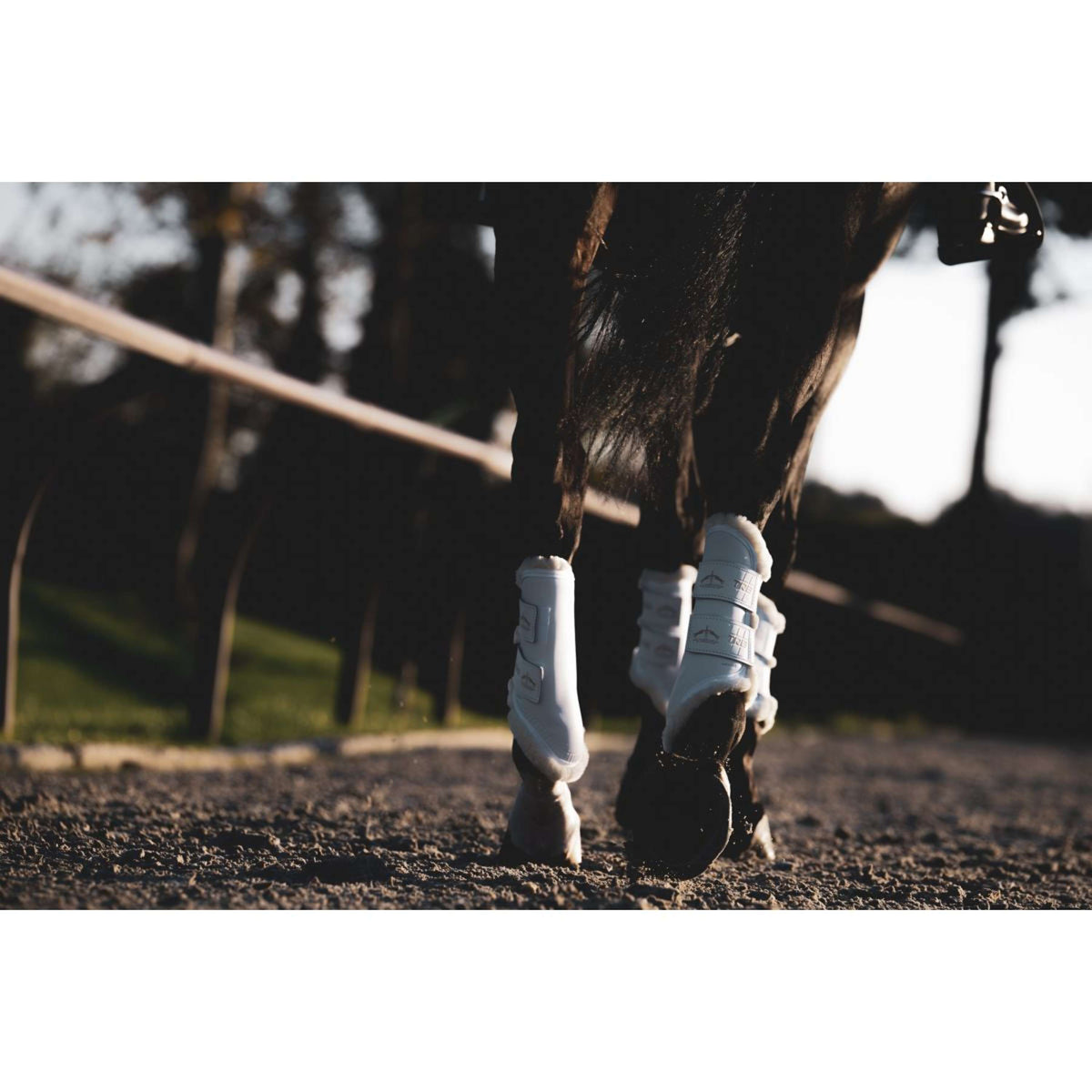 Veredus Beenbeschermers TRB Save the Sheep Rear Wit