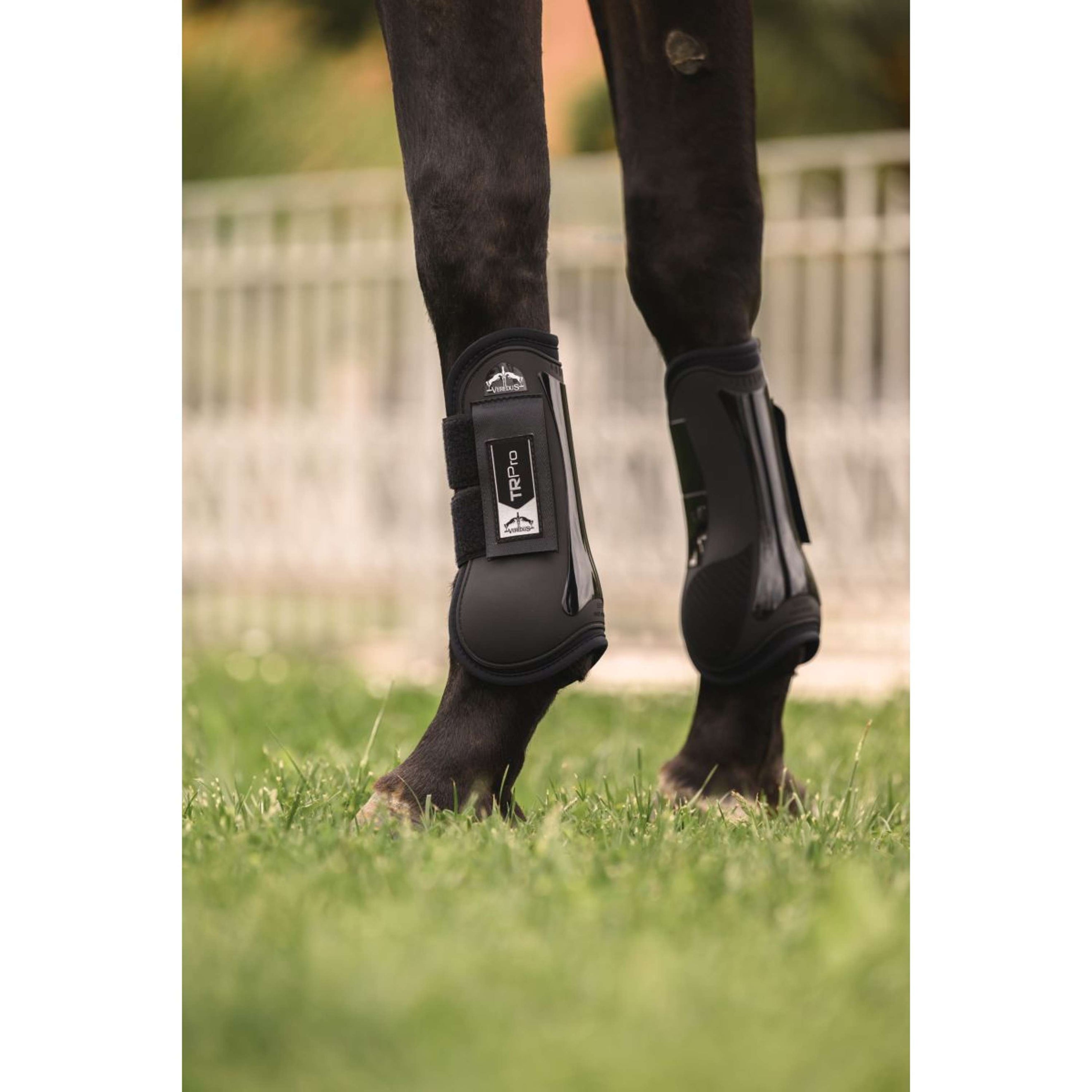 Veredus Peesbeschermers TR PRO Front Zwart Veredus Peesbeschermers TR PRO Front Zwart