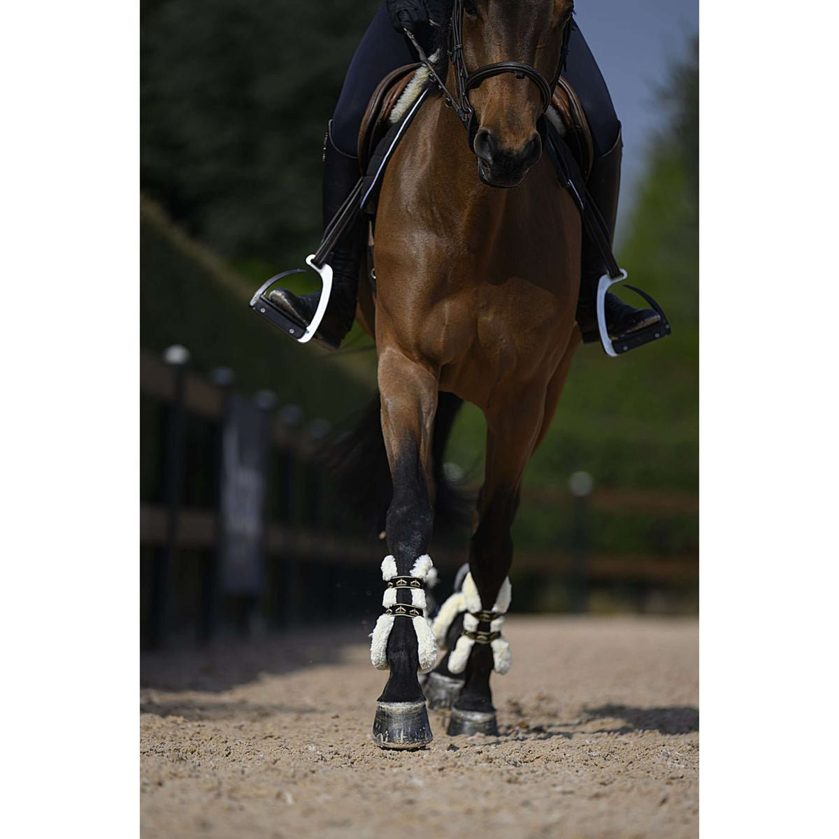 Veredus Peesbeschermers Carbon Gel Absolute Save the Sheep Front Zwart