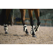 Veredus Strijklappen Carbon Gel Absolute Save the Sheep Rear  Zwart