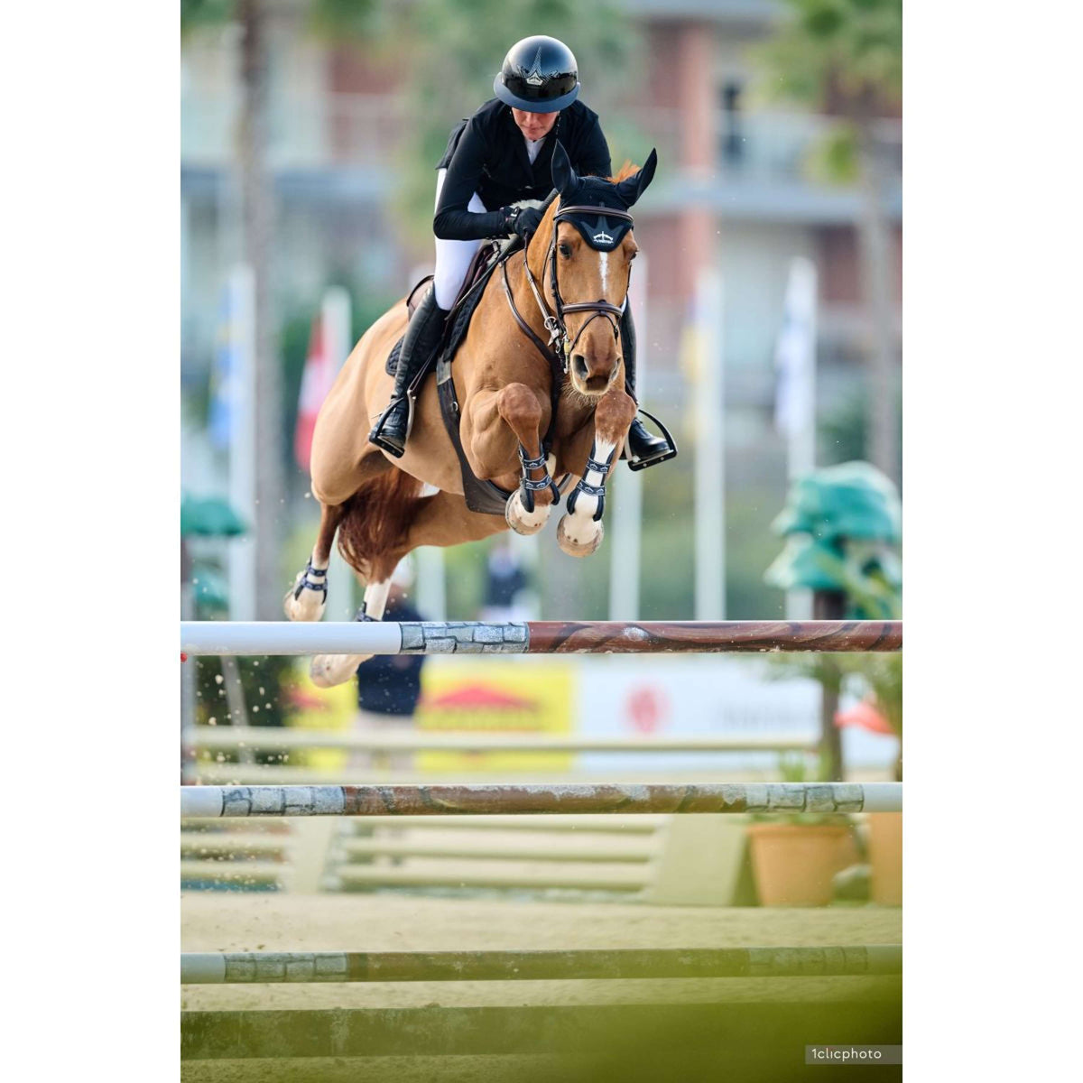 Veredus Cap Vita Breed Vizier Lak Zwart