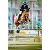 Veredus Cap Vita Breed Vizier Lak Zwart