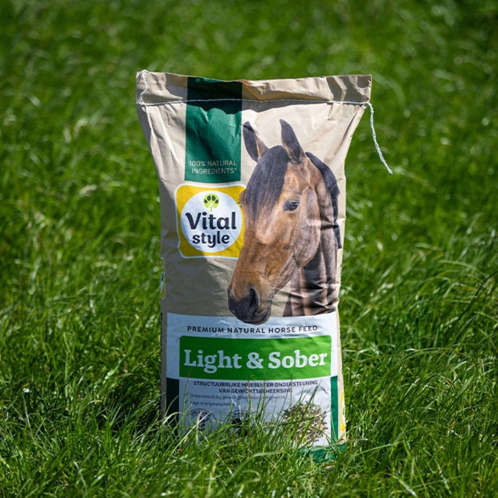 Vitalstyle Muesli Light & Sober