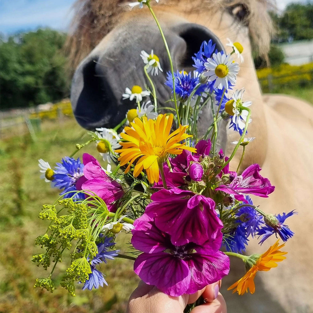 Vitalstyle WeideBloemen
