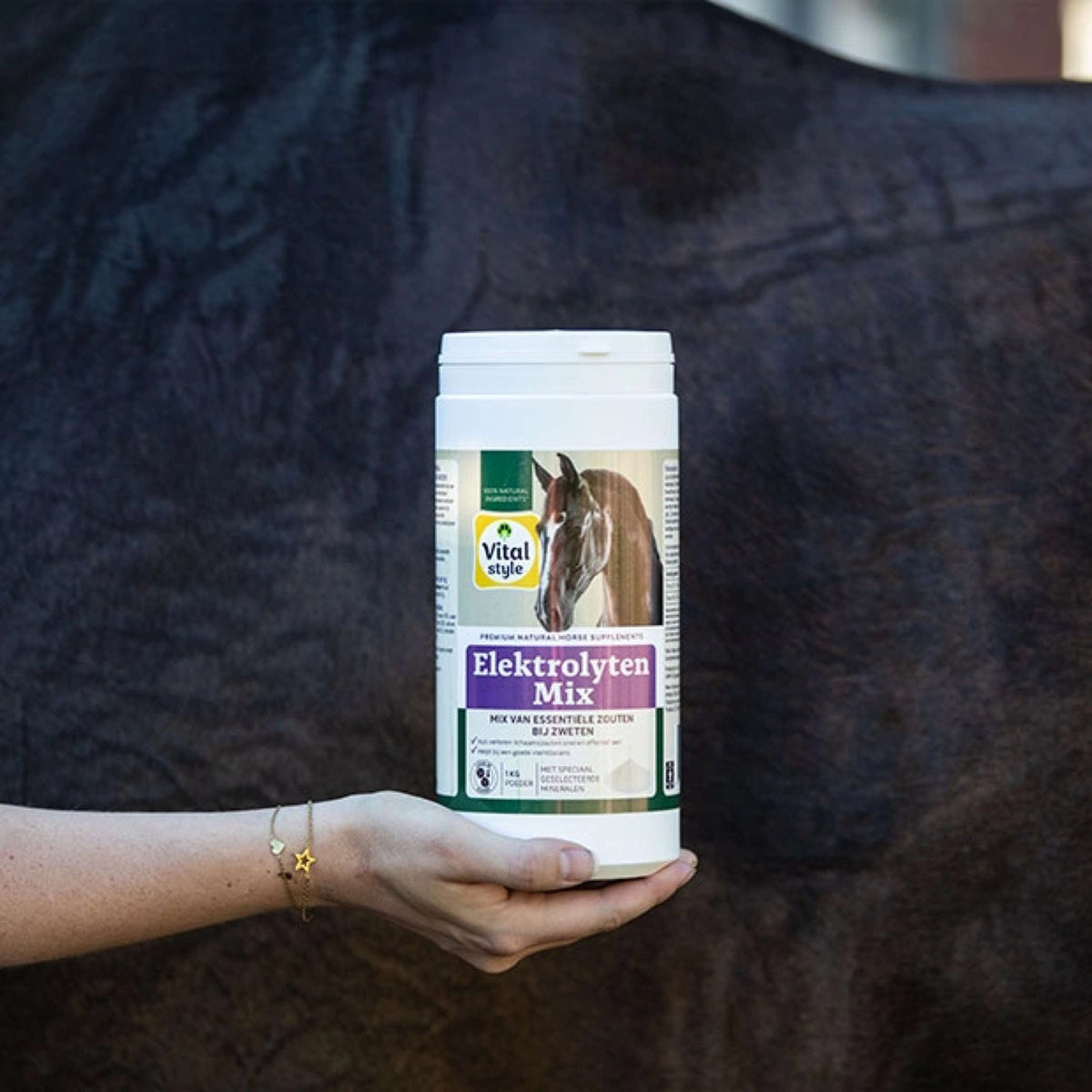 Vitalstyle Elektrolyten Mix Paard