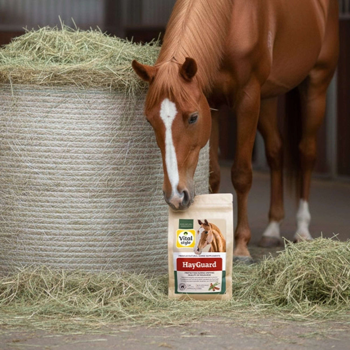 Vitalstyle HayGuard