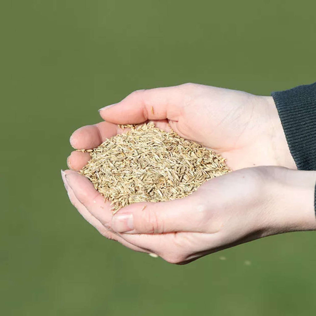 Vitalstyle WeideGraszaad