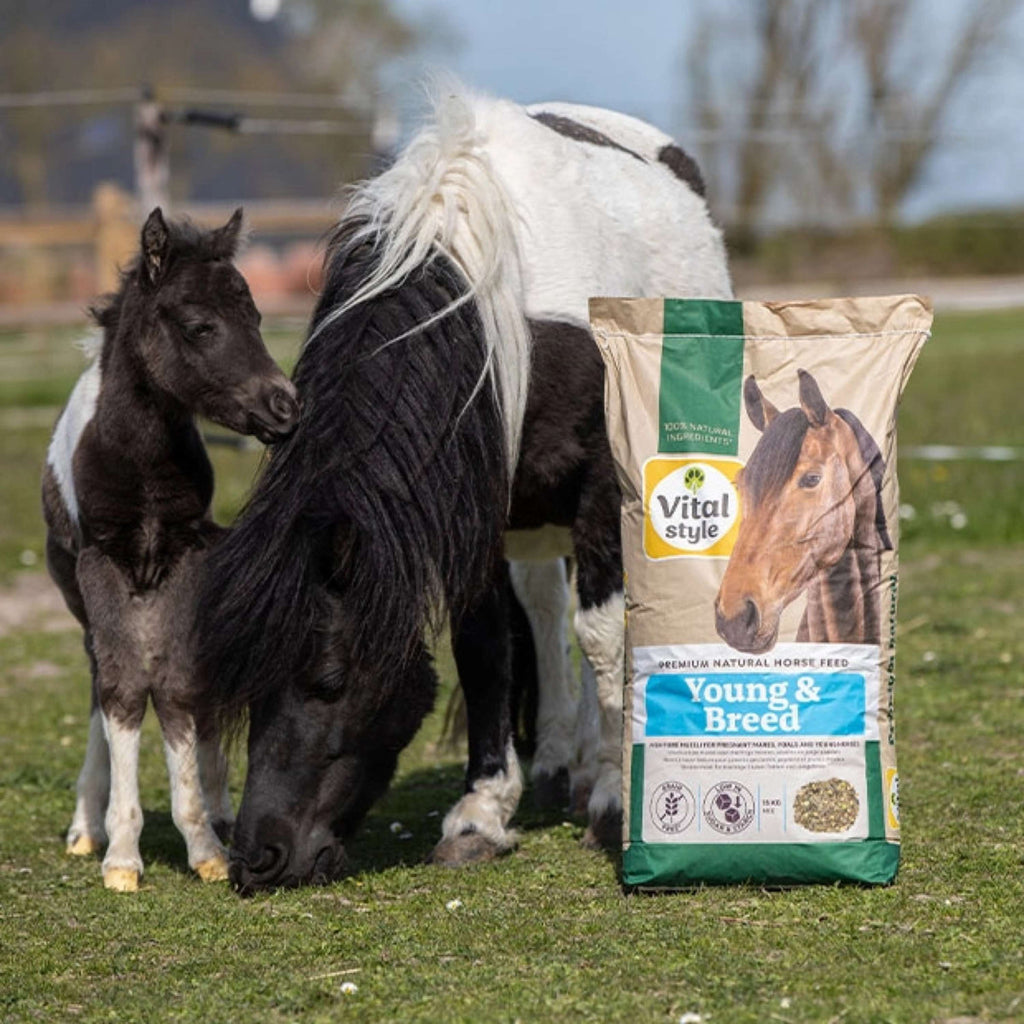 Vitalstyle Muesli Young & Breed