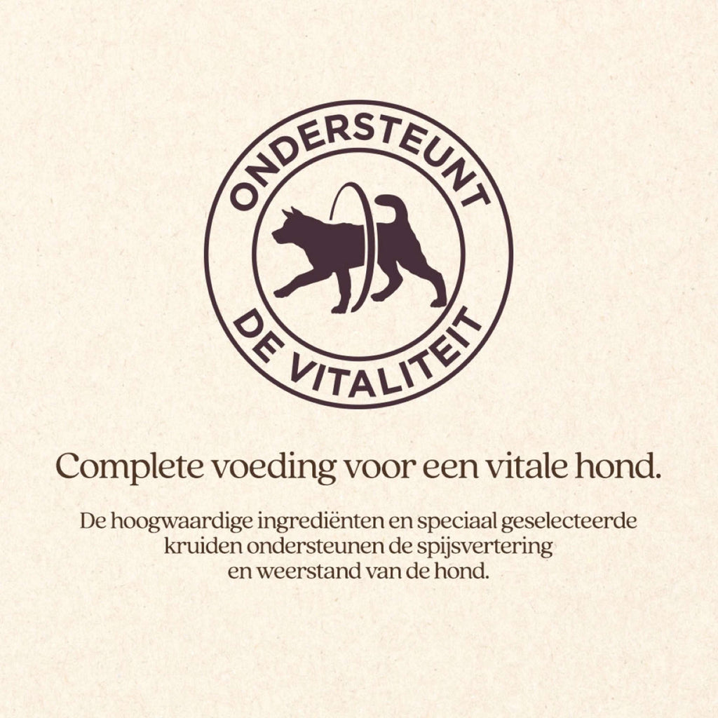 Vitalstyle Hond Adult