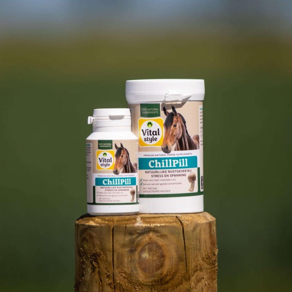 Vitalstyle ChillPill Paard