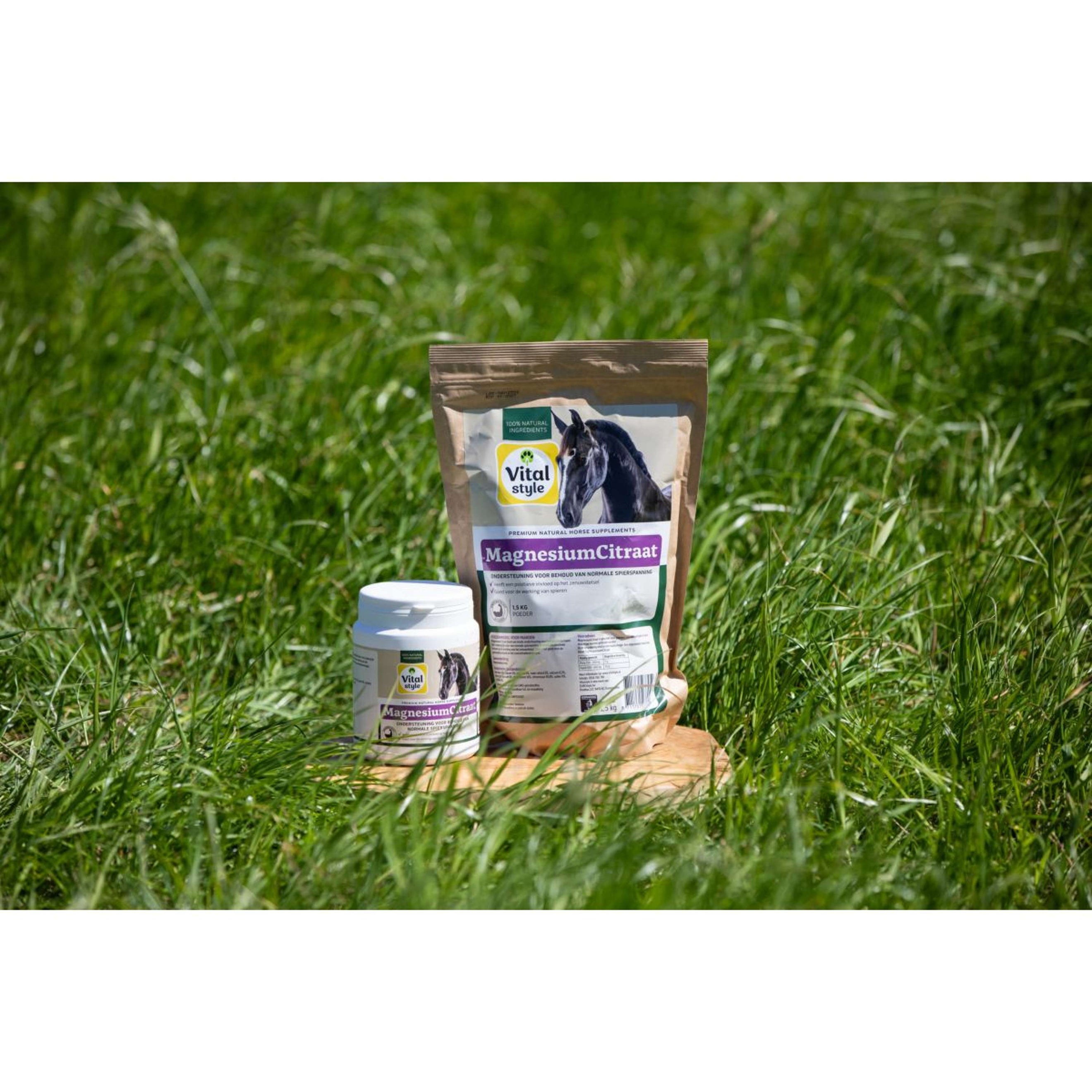 Vitalstyle MagnesiumCitraat