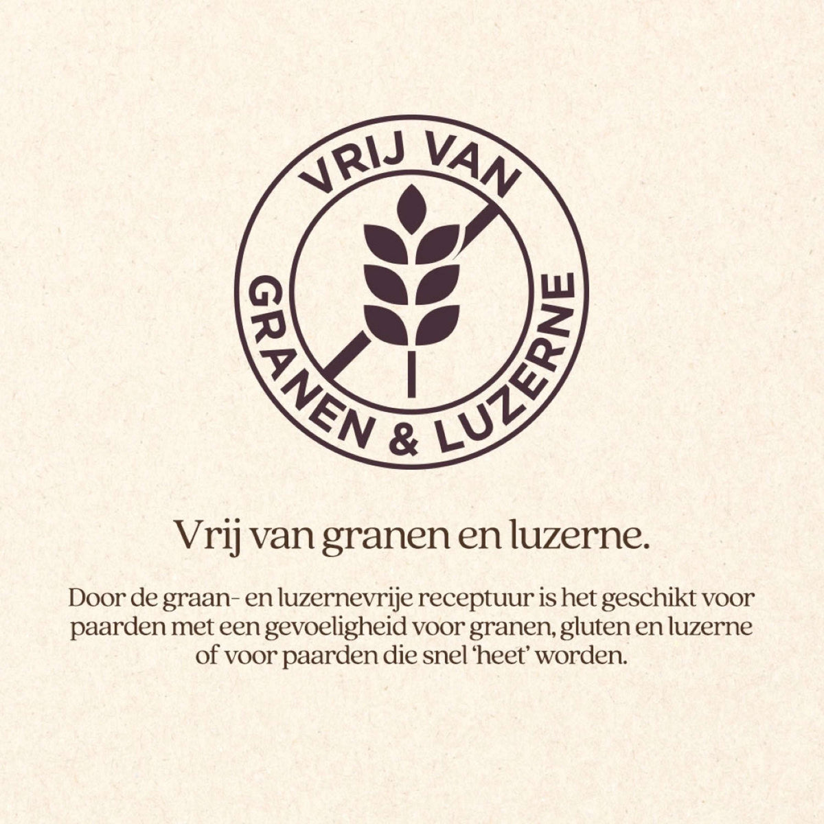 Vitalstyle SluesliMix