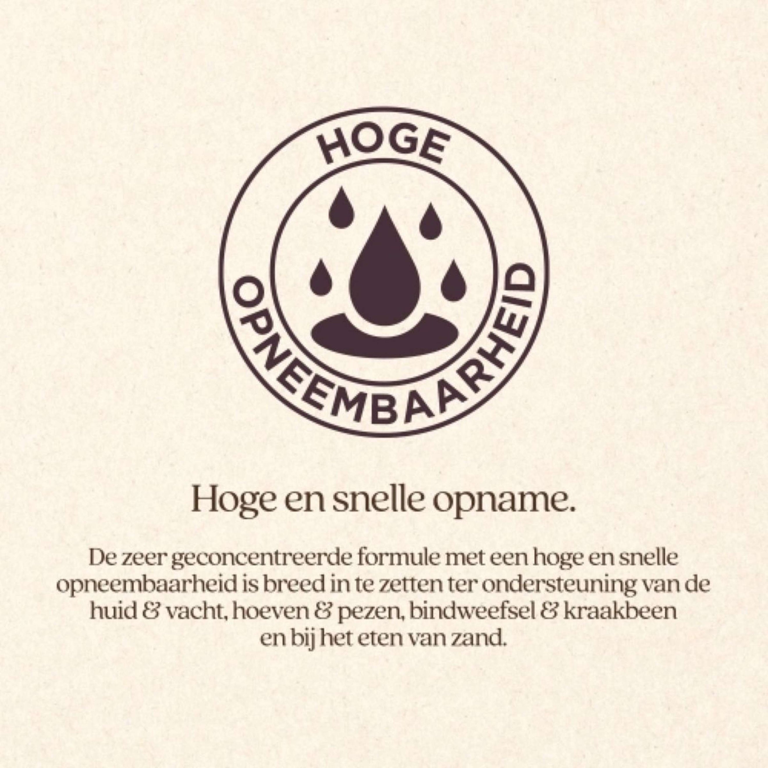 Vitalstyle Silicium+ Vitalstyle Silicium+