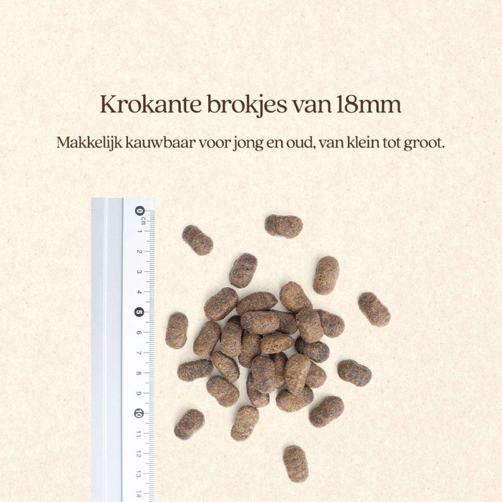 Vitalstyle Hond Adult
