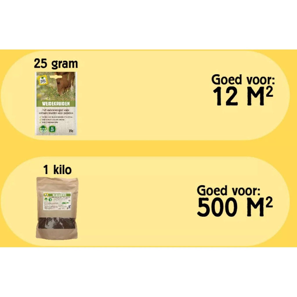 Vitalstyle WeideKruiden