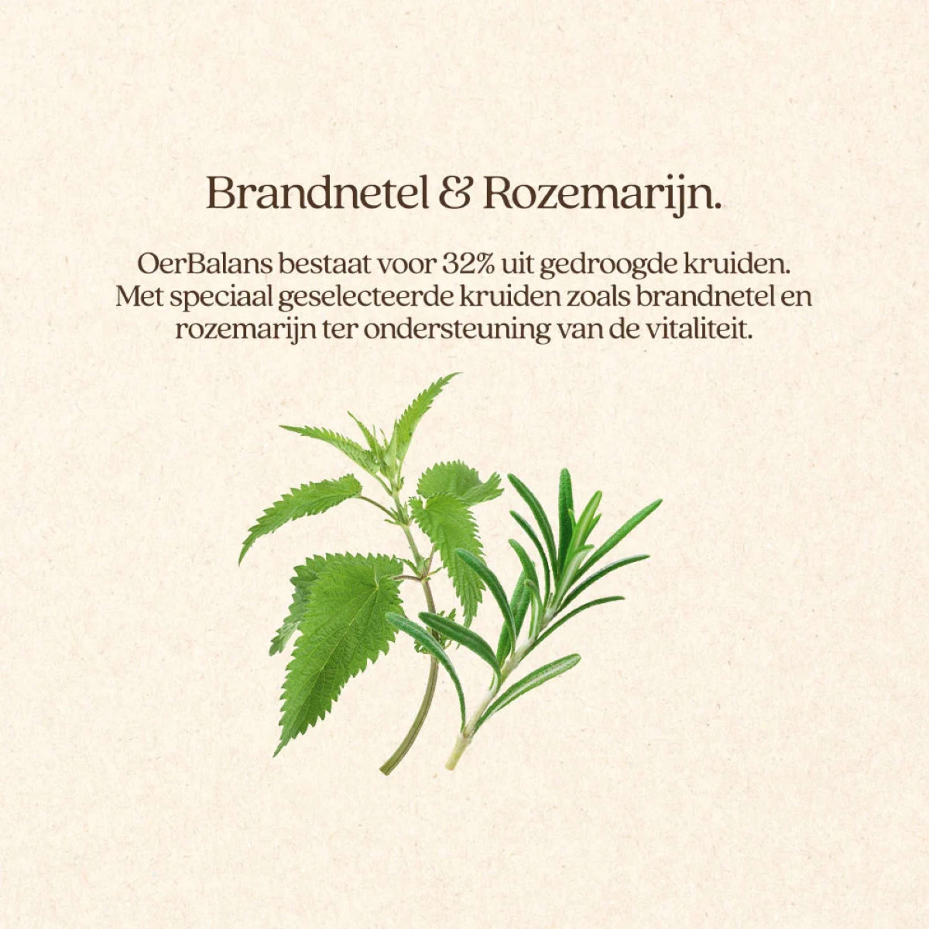 Vitalstyle Brok OerBalans