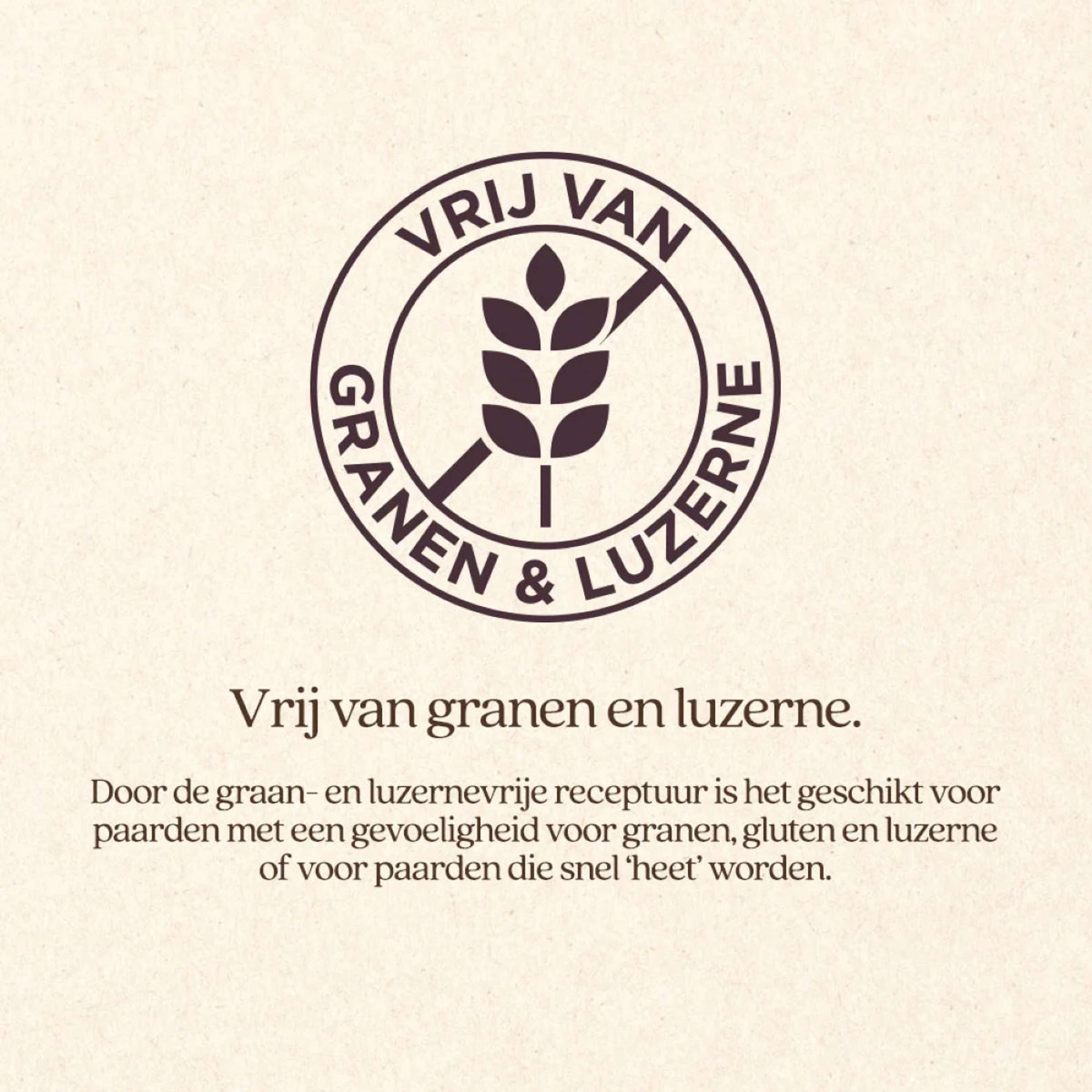 Vitalstyle Brok OerBalans