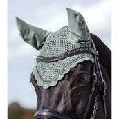 Waldhausen Oornetje Nepal Silverblue