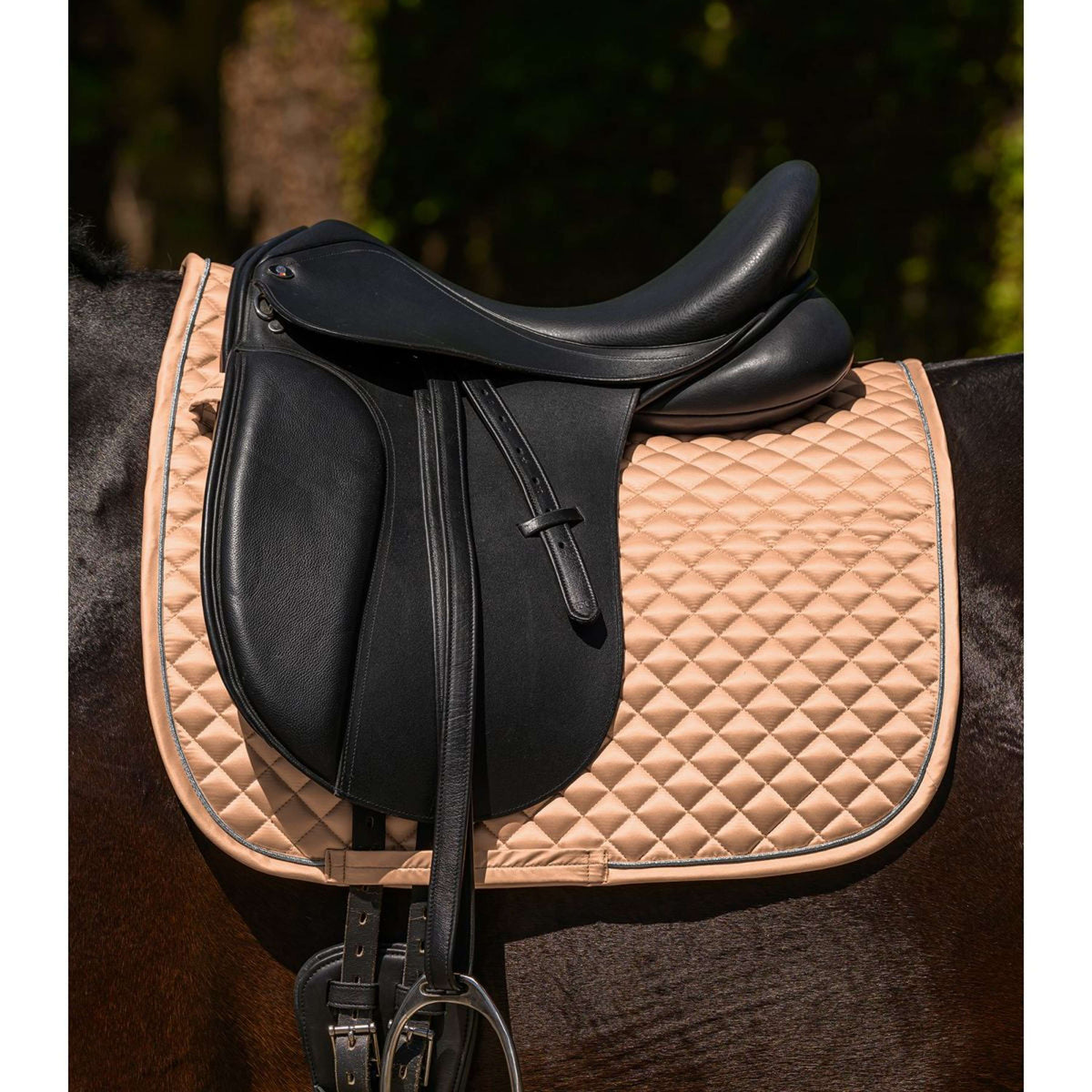 Waldhausen Zadeldekje Felix Glam Dressuur Peach