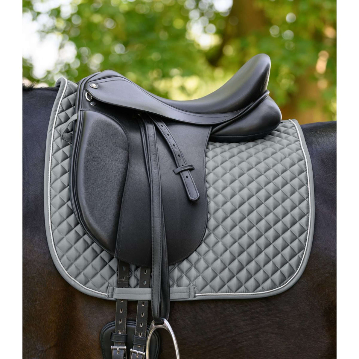 Waldhausen Zadeldekje Felix Glam Dressuur Chrome Grey