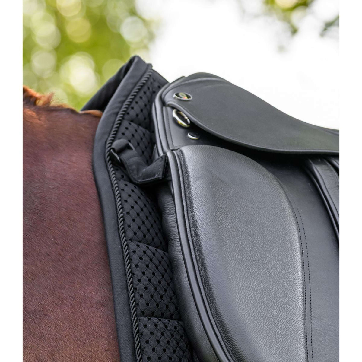 Waldhausen Zadeldekje Breath Performance Dressuur Zwart