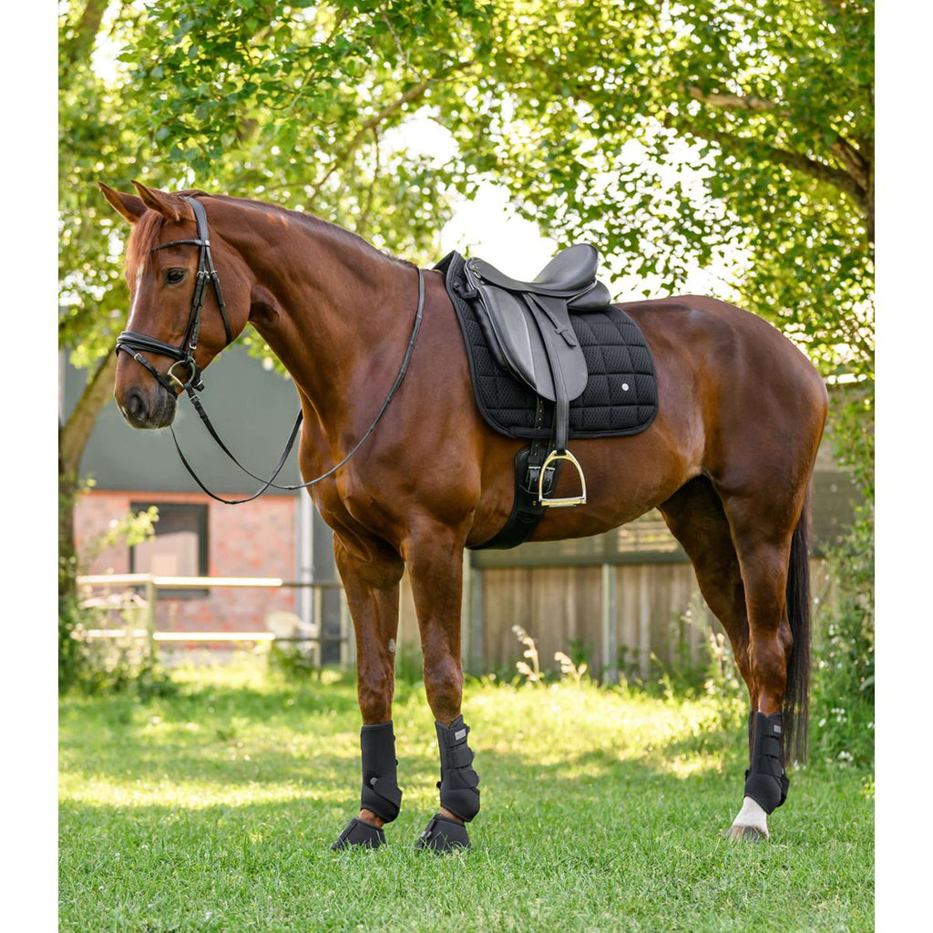 Waldhausen Zadeldekje Breath Performance Dressuur Zwart
