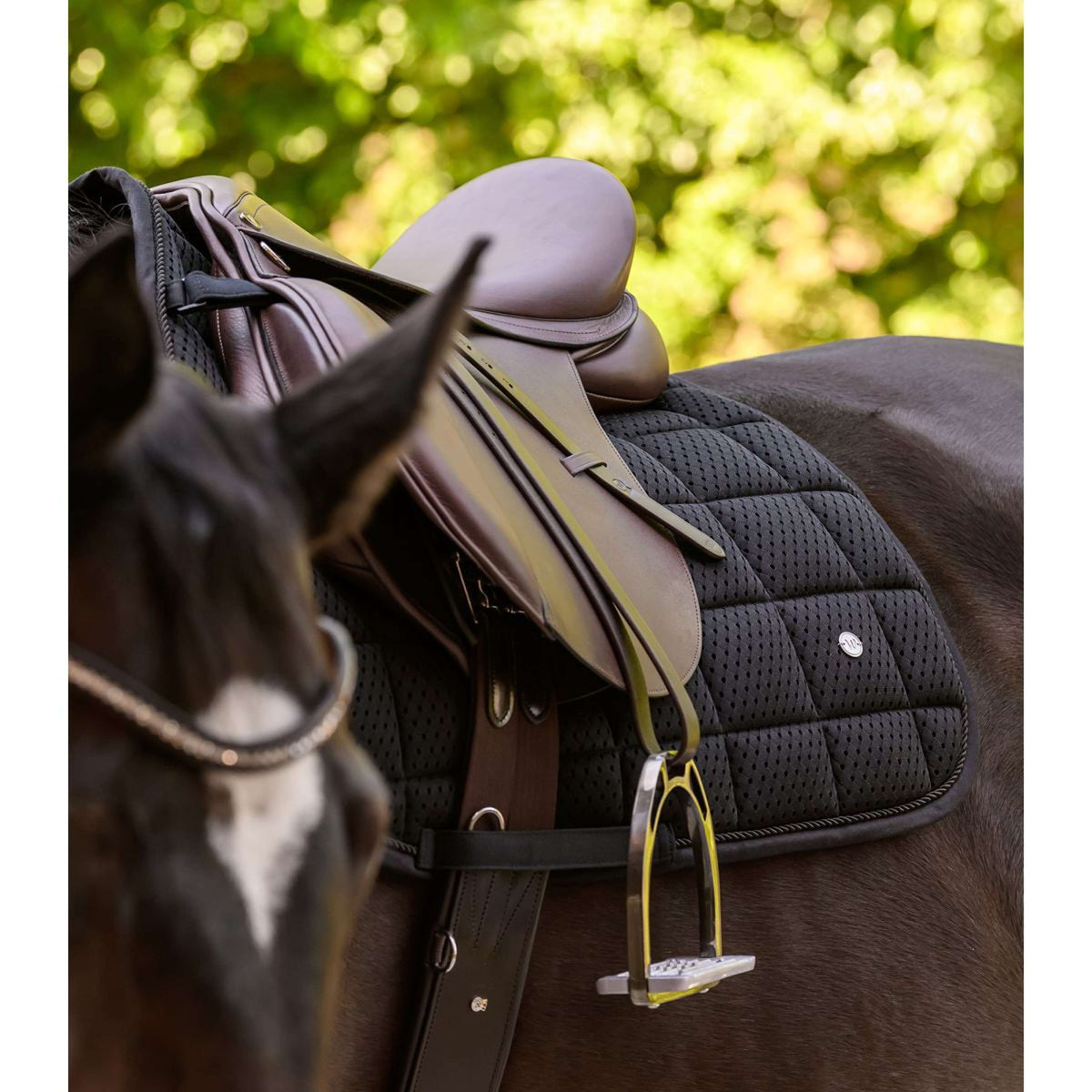 Waldhausen Zadeldekje Breath Performance Veelzijdigheid Zwart