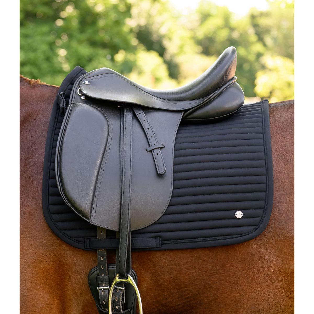 Waldhausen Zadeldekje Trinidad Dressuur Zwart