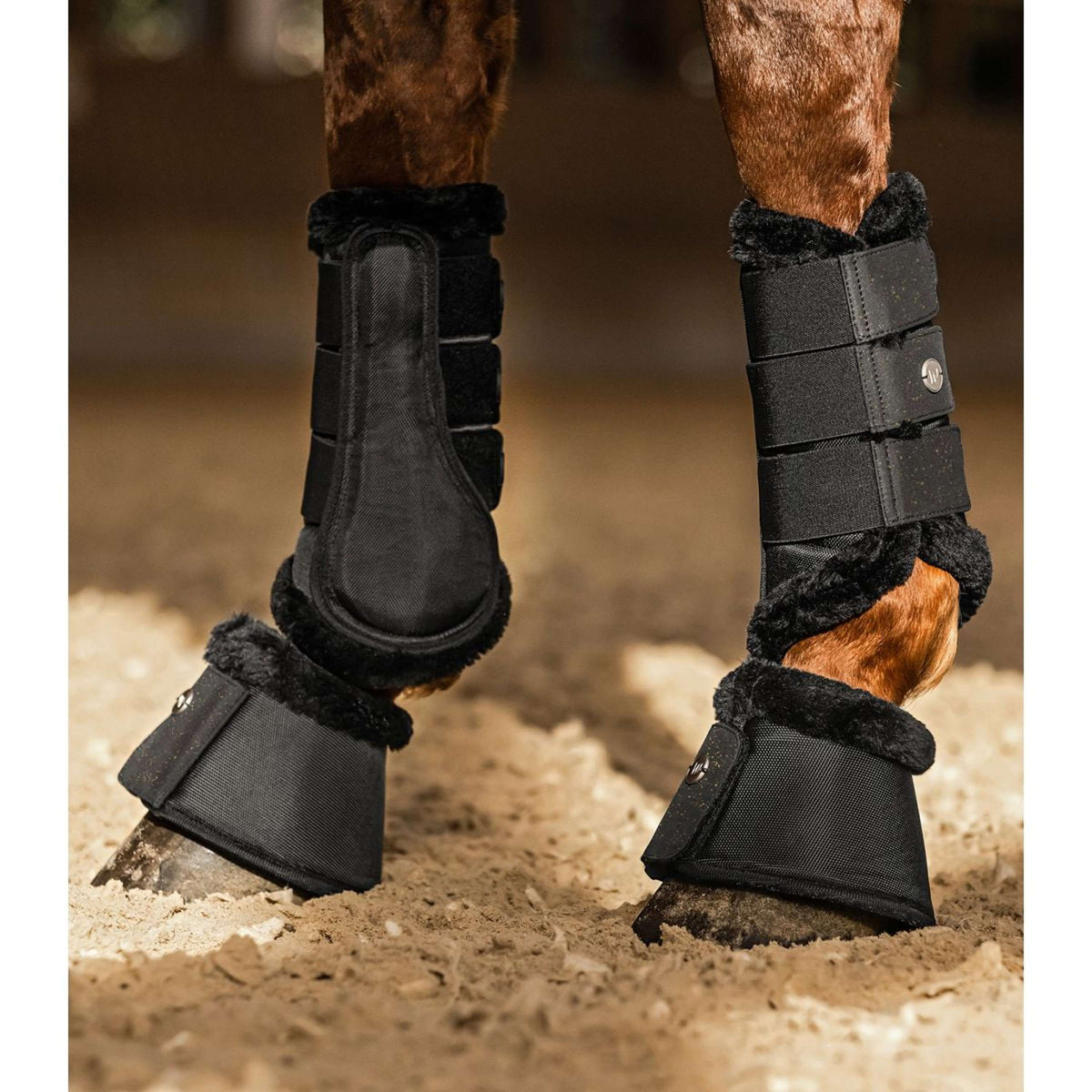 Waldhausen Dressage Boots Phoenix Zwart