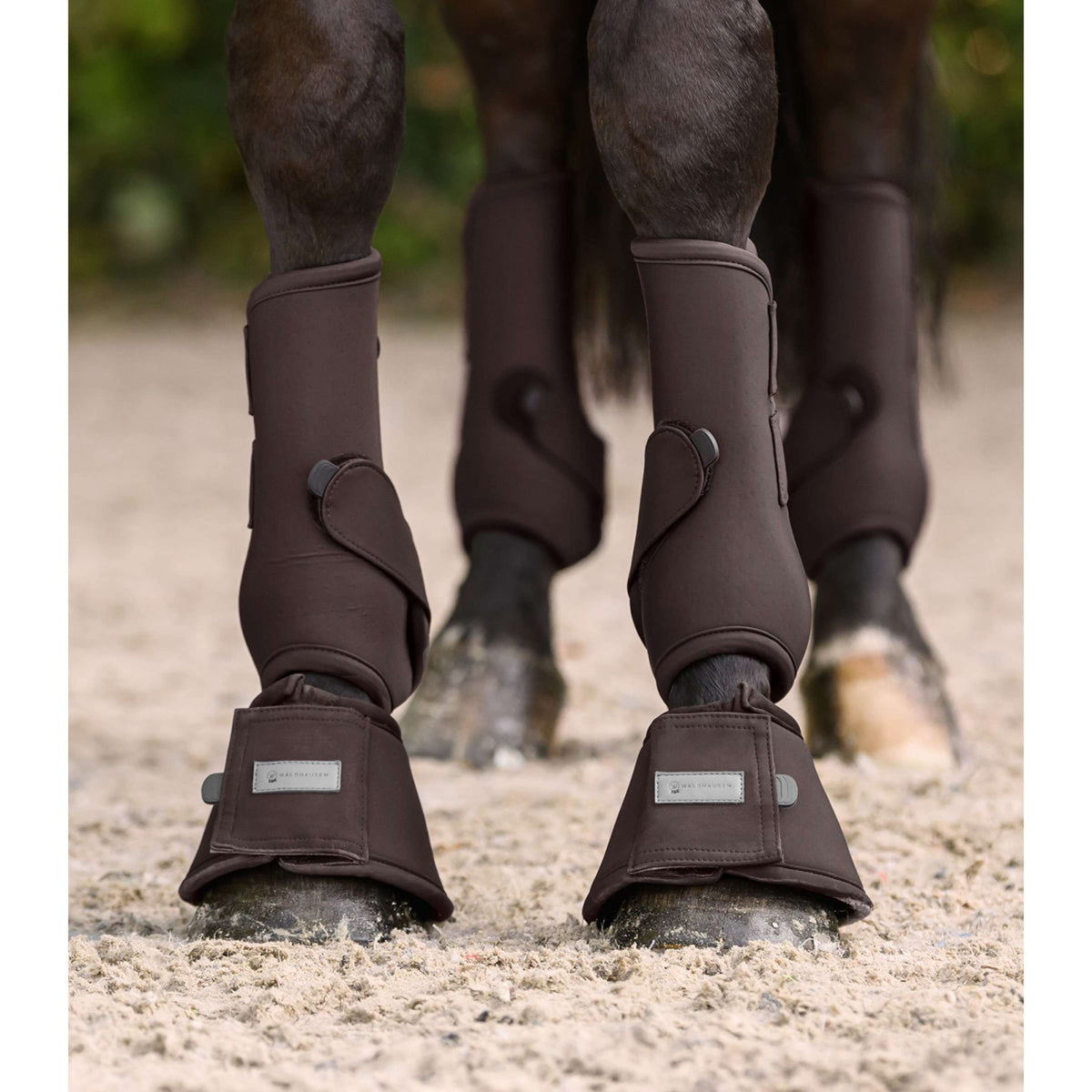 Waldhausen Springschoenen Performance Espresso