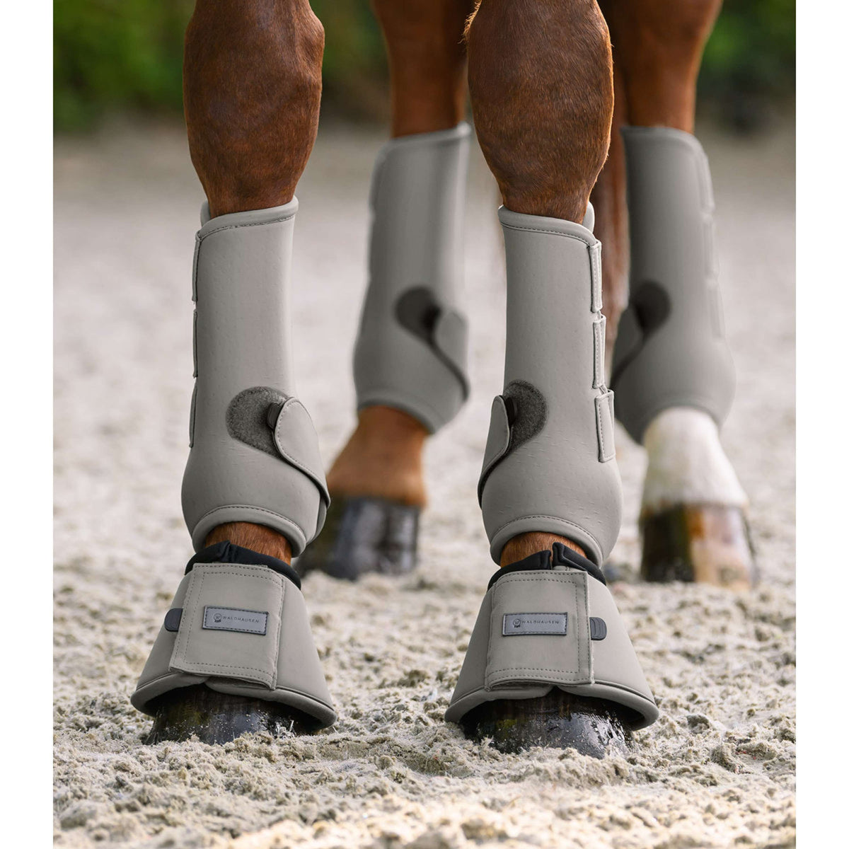 Waldhausen Springschoenen Performance Sage