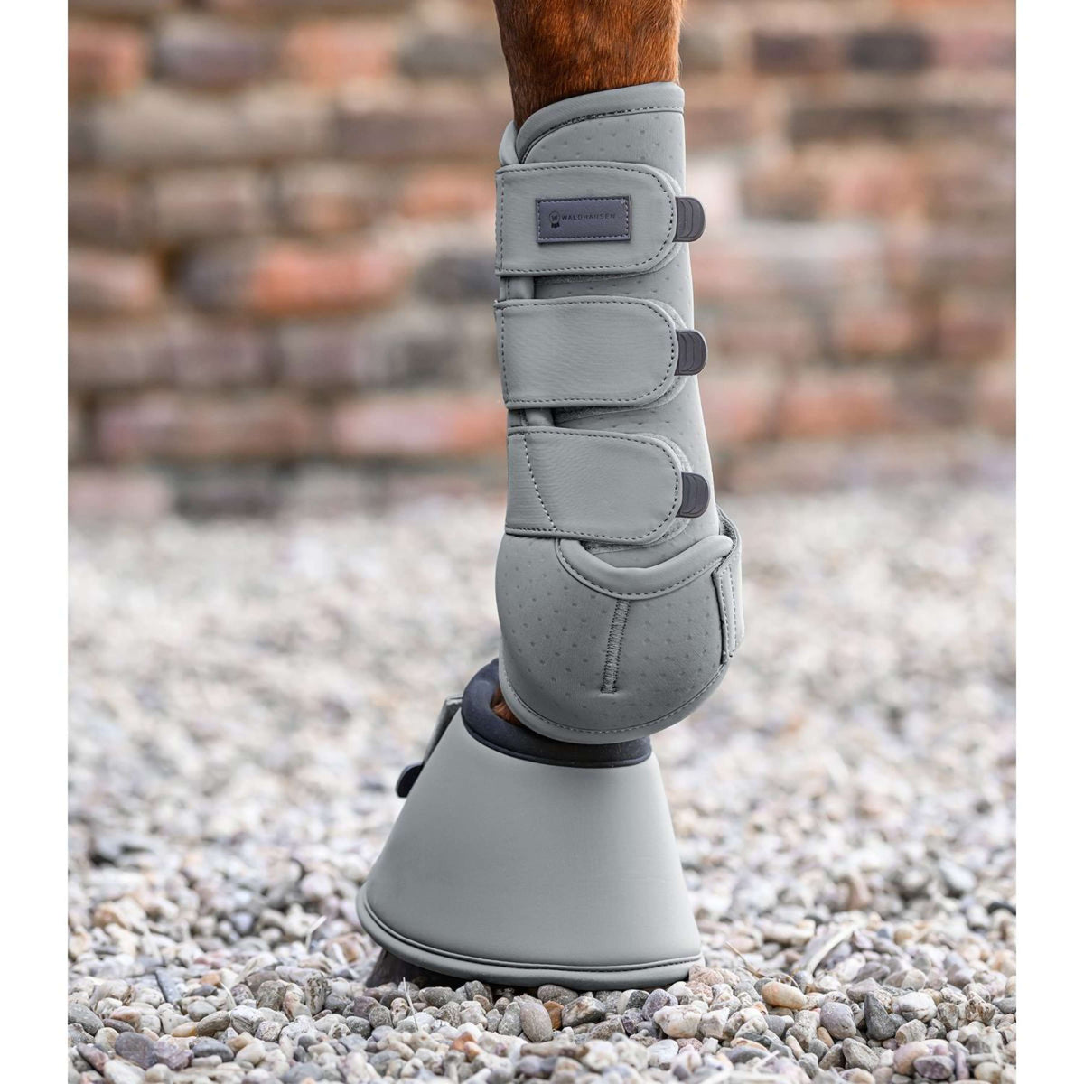 Waldhausen Springschoenen Performance Chrome Grey