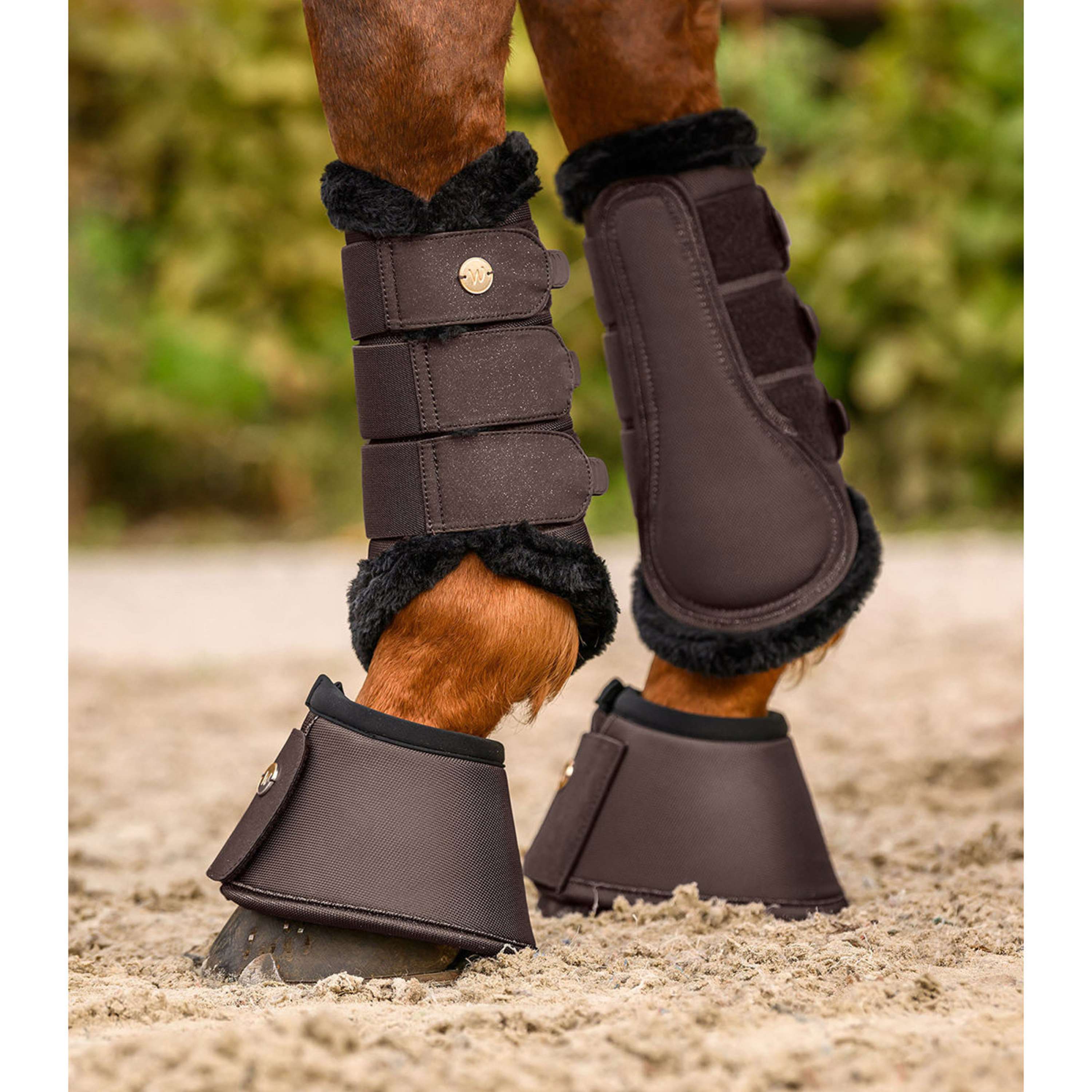 Waldhausen Springschoenen Phoenix Espresso
