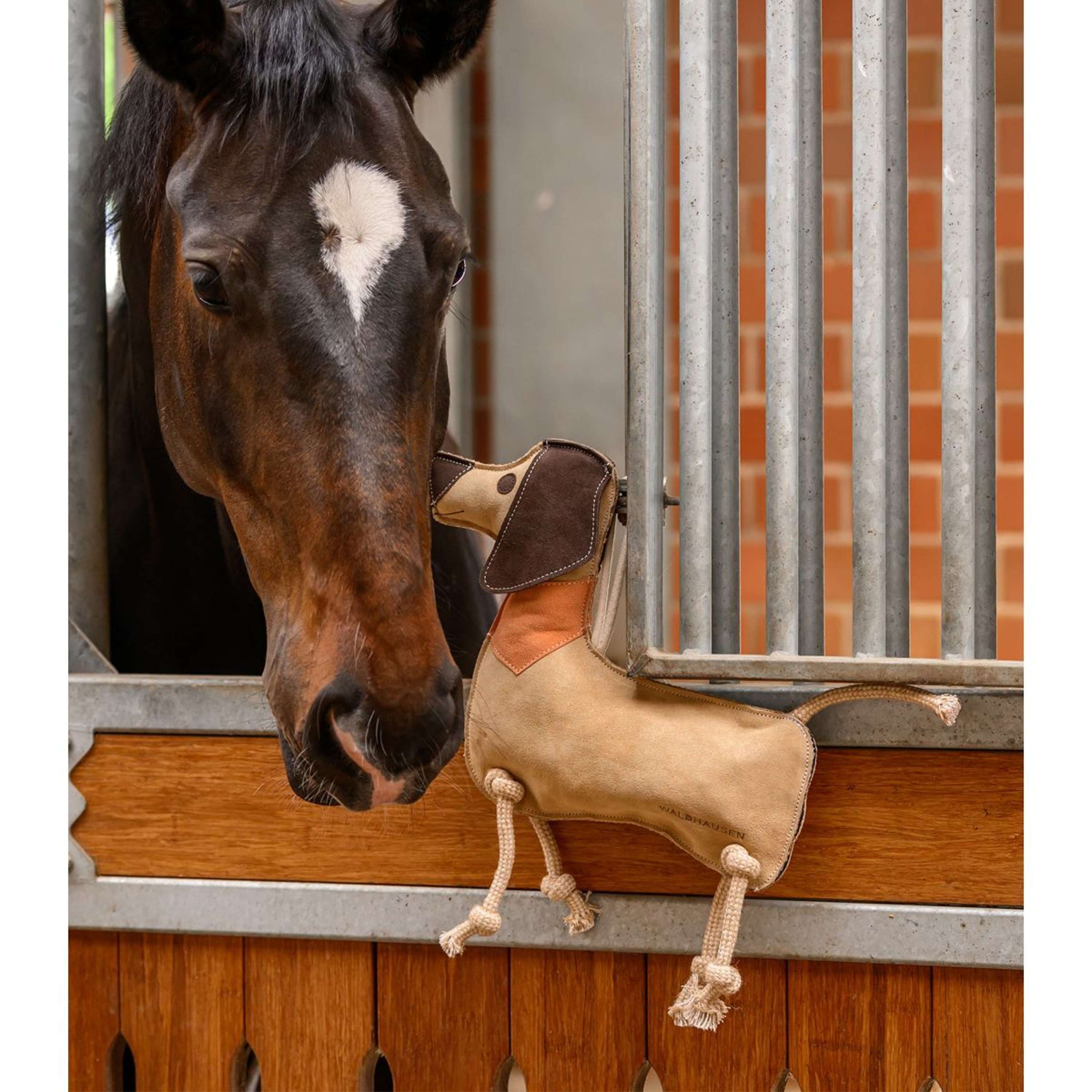 Waldhausen Speelgoed Dachshund Dieter Waldhausen Speelgoed Dachshund Dieter