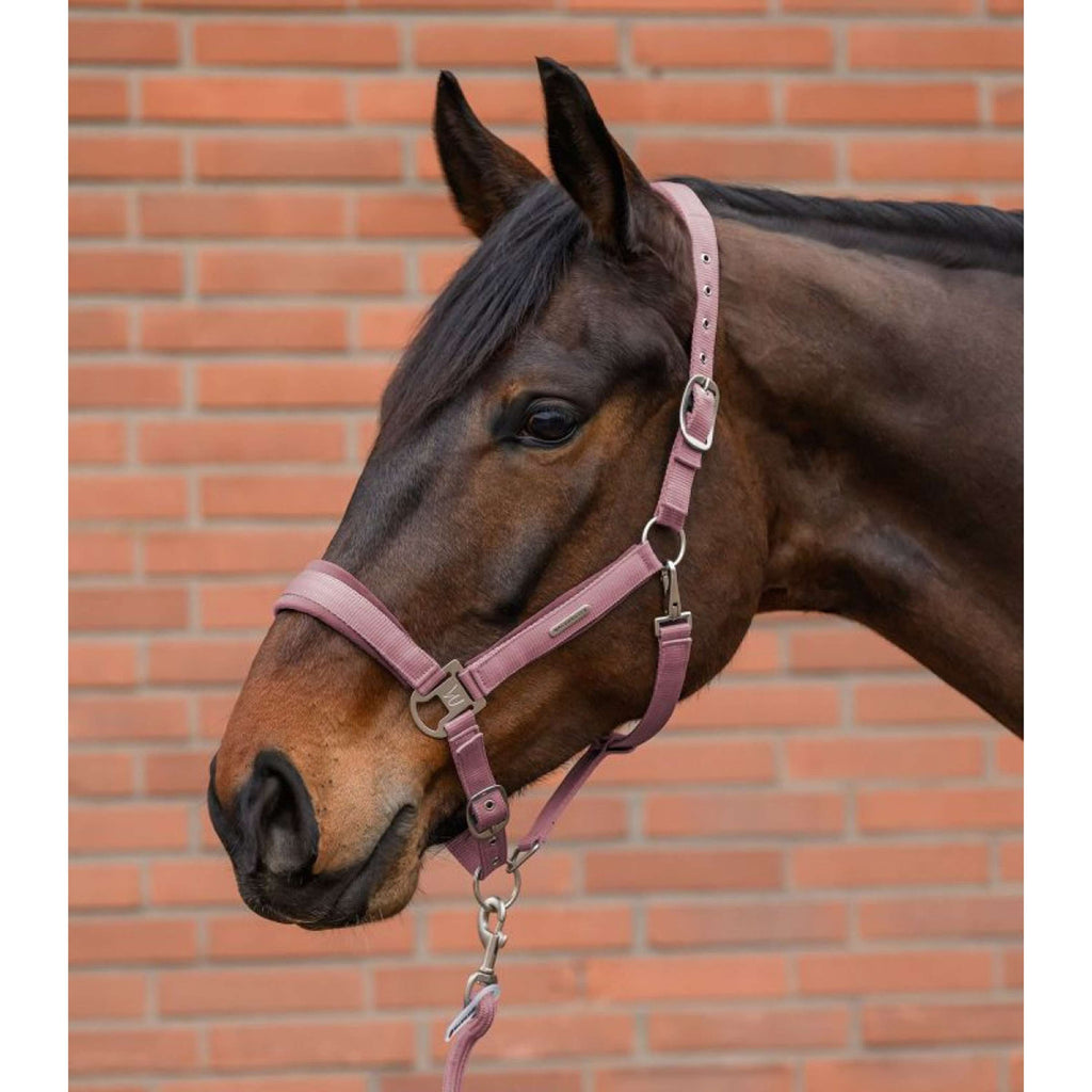 Waldhausen Halsterset Velvet Dusky Pink