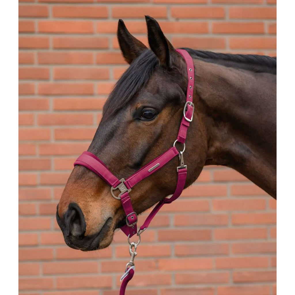 Waldhausen Halsterset Velvet Pomegranate
