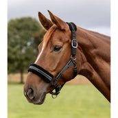 Waldhausen Halster Elegant Zwart/Zwart