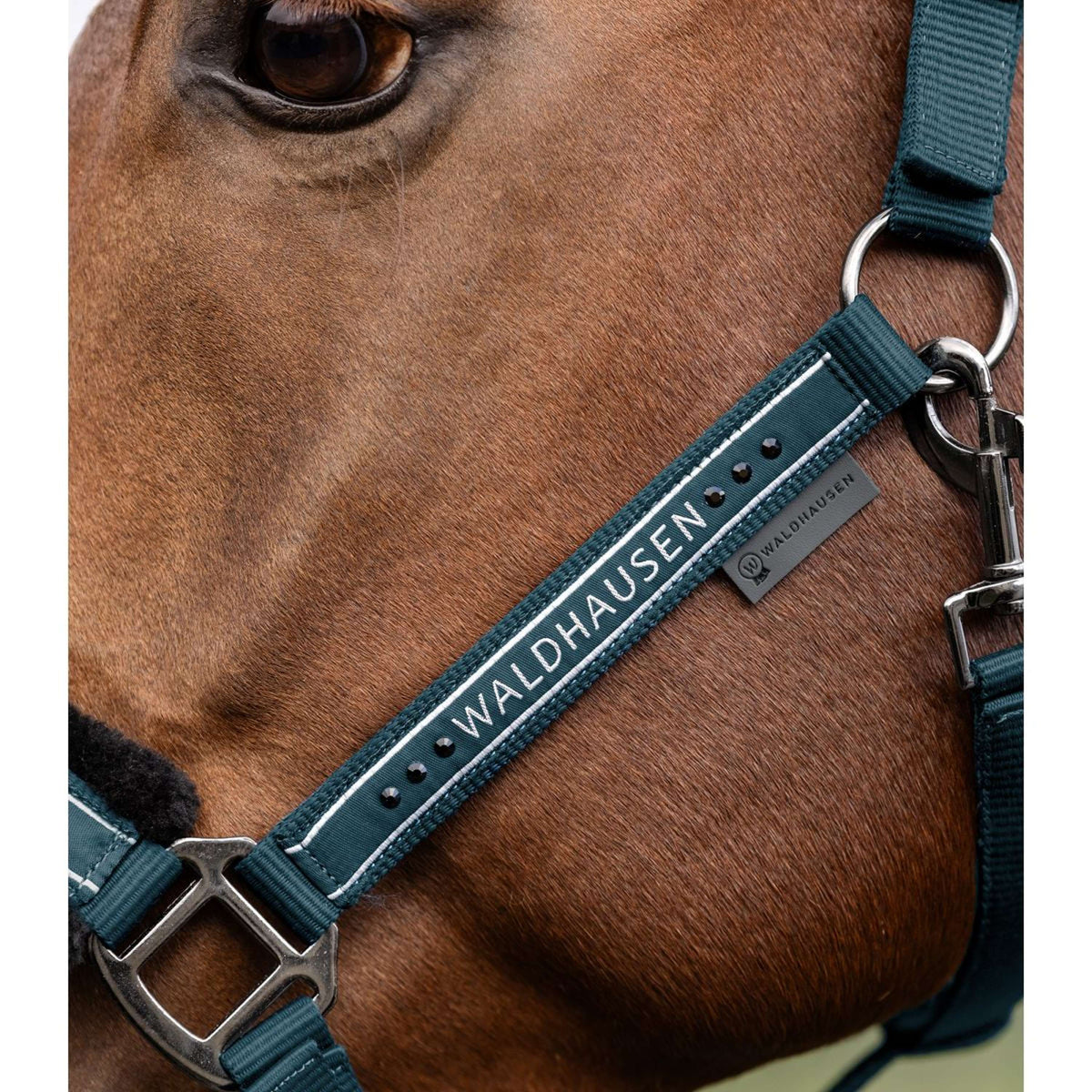 Waldhausen Halster Elegant Petrol Blue