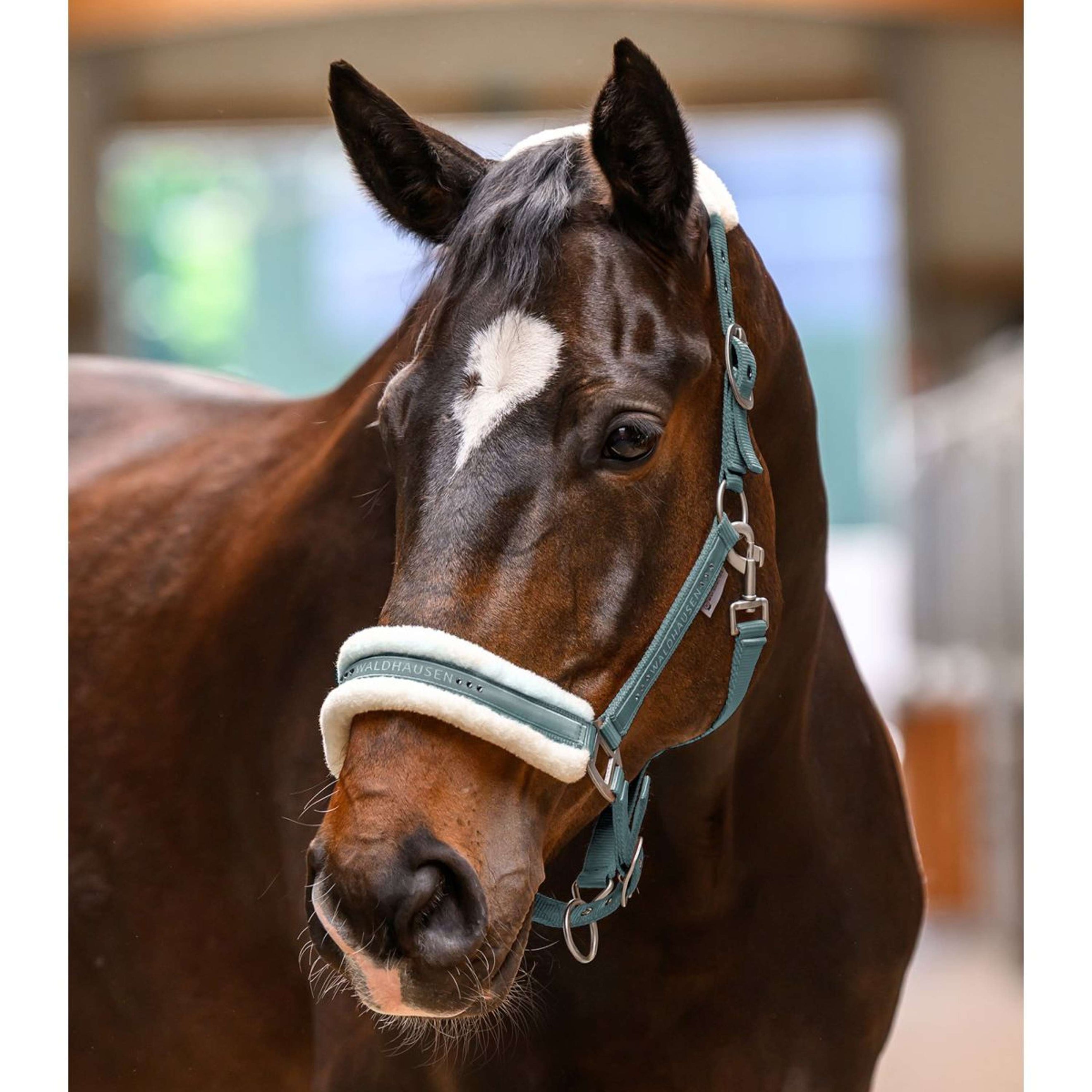 Waldhausen Halster Elegant Pine Green