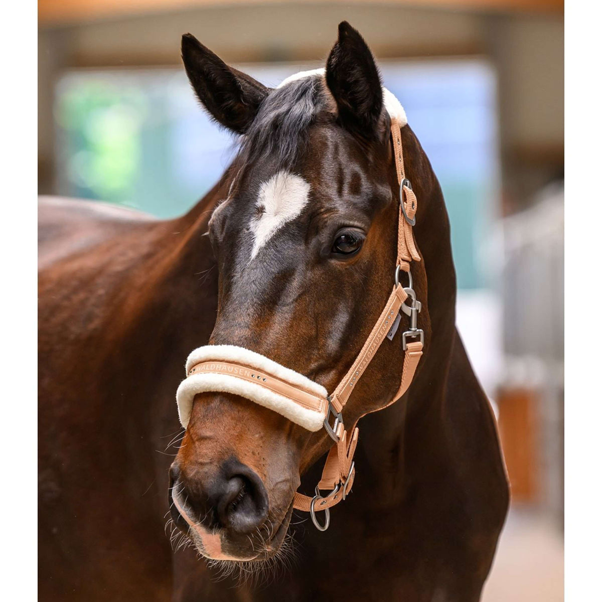 Waldhausen Halster Elegant Peach