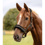 Waldhausen Halster Elegant Groen/Bruin