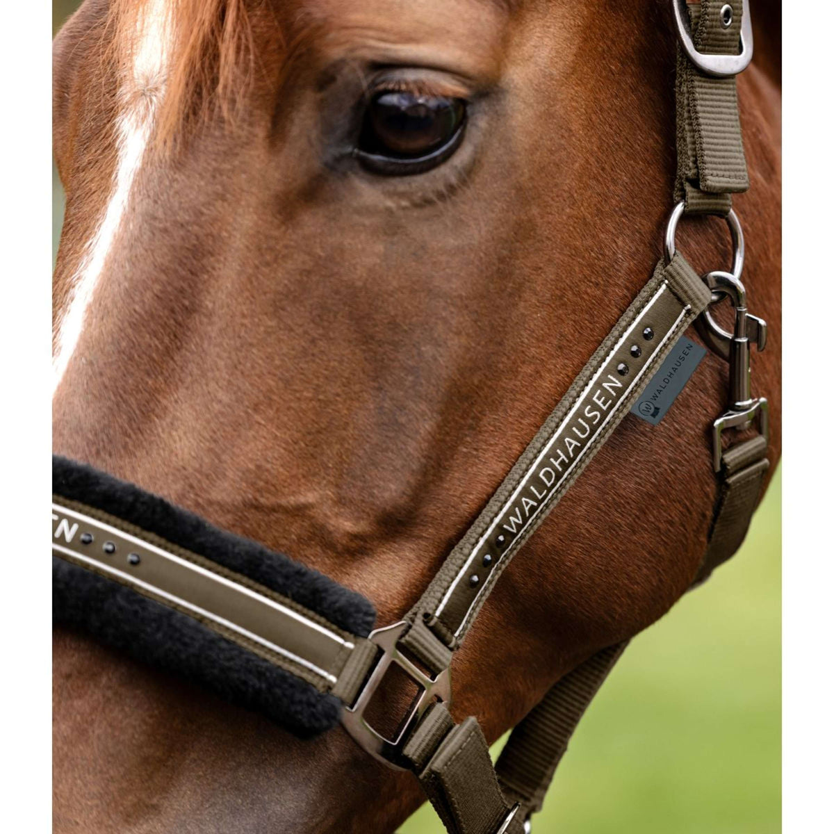 Waldhausen Halster Elegant Groen/Bruin