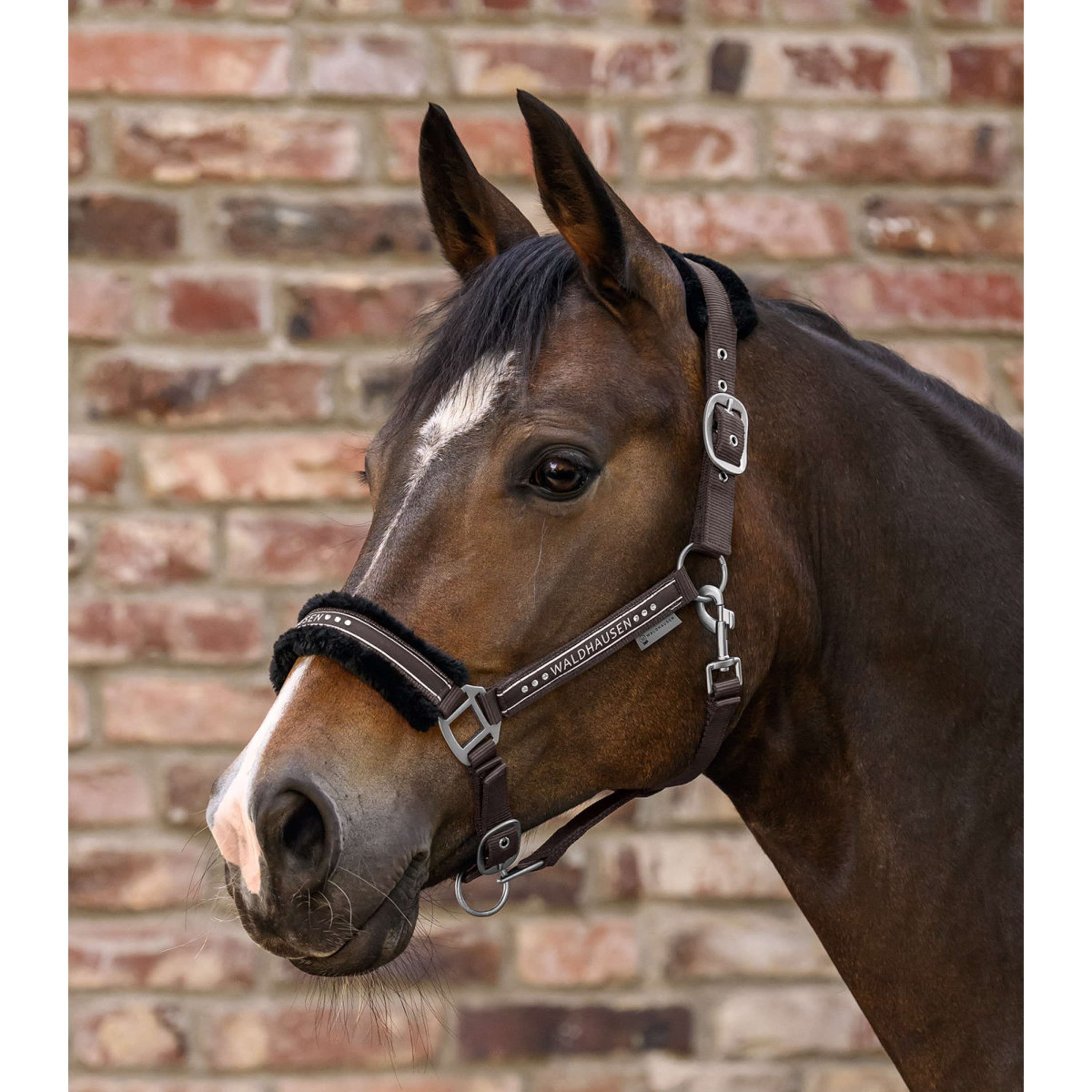 Waldhausen Halster Elegant Sage