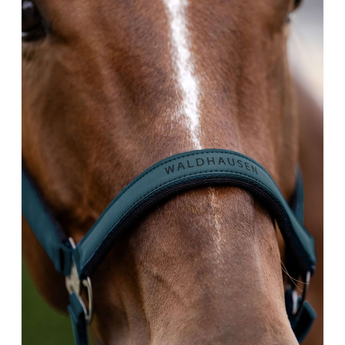 Waldhausen Halster Athletic Petrol Blue