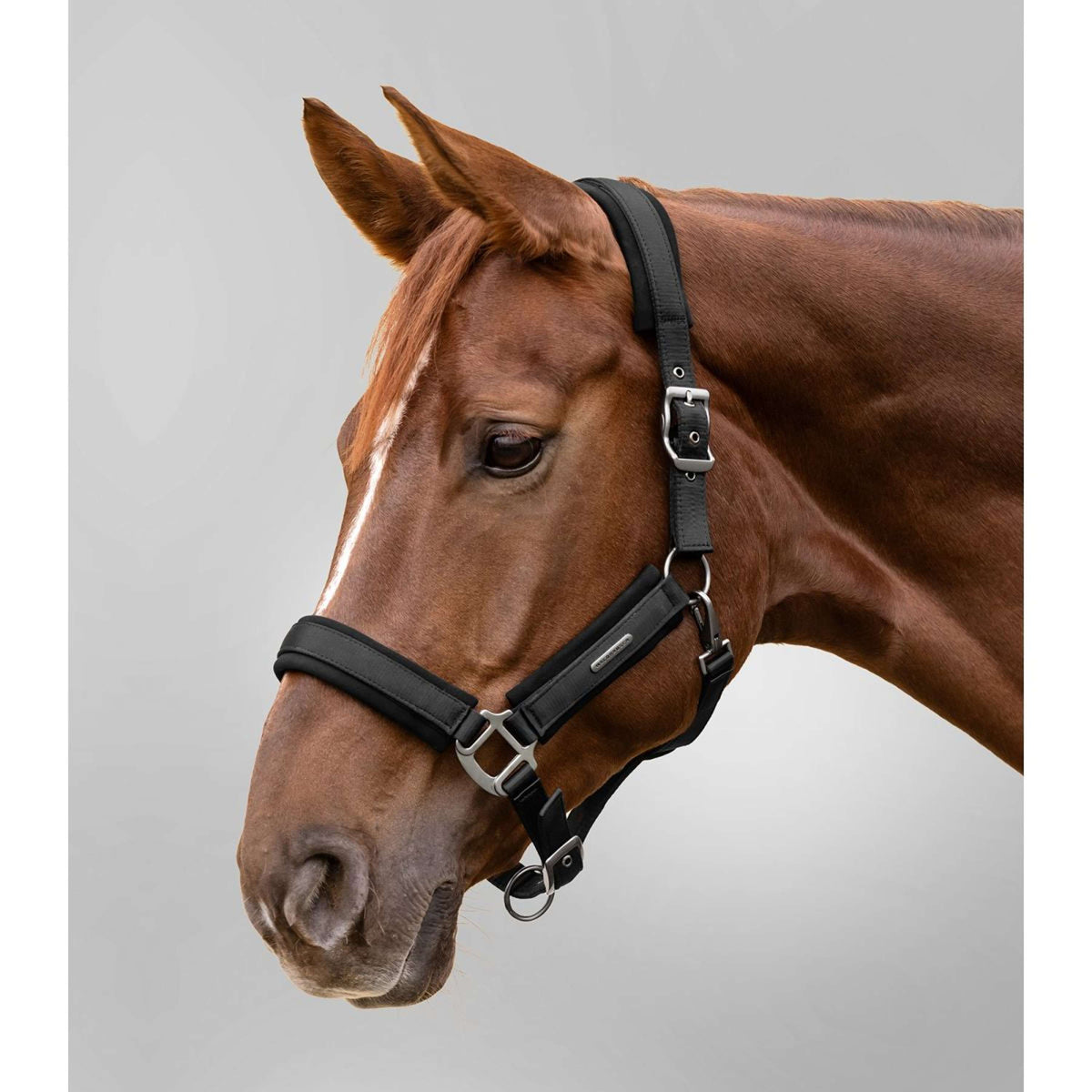 Waldhausen Halster Soft Touch Zwart