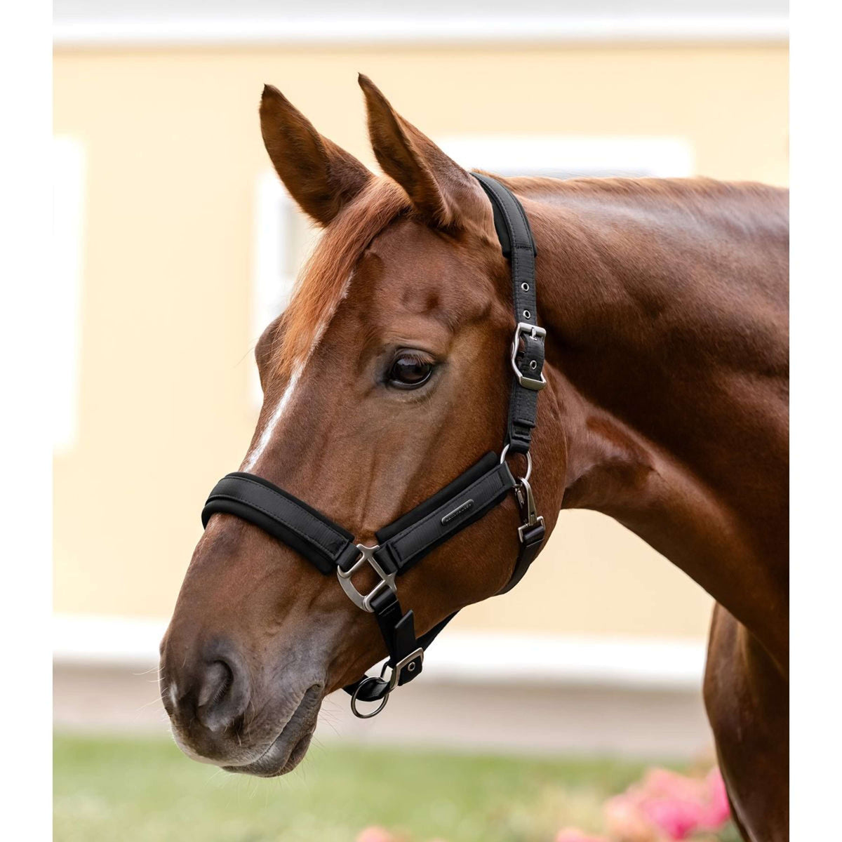 Waldhausen Halster Soft Touch Zwart