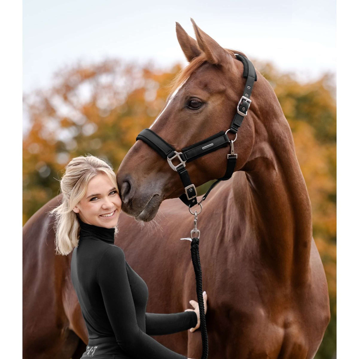 Waldhausen Halster Soft Touch Zwart