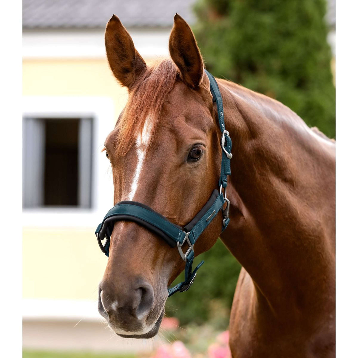 Waldhausen Halster Soft Touch Petrol Blue
